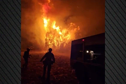 Μεγάλη φωτιά στα Λεχαινά Ηλείας (ΒΙΝΤΕΟ)