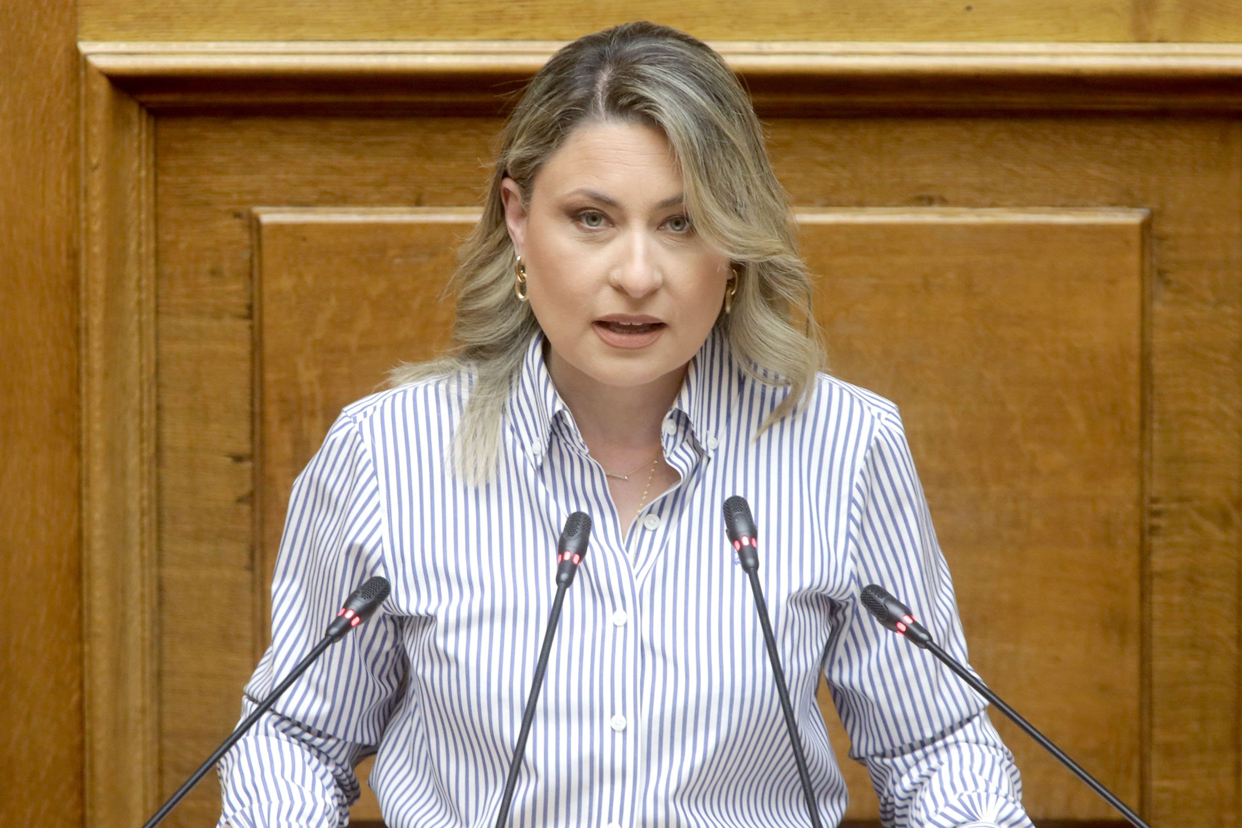 Η αντιπολίτευση του «μπακαλιάρου»
