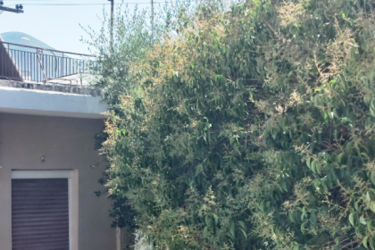Διαμαρτυρία κατοίκων της περιοχής του Ψάχου (ΦΩΤΟ)