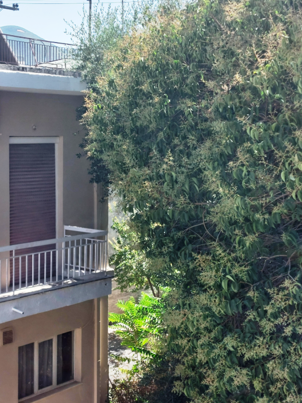 Διαμαρτυρία κατοίκων της περιοχής του Ψάχου (ΦΩΤΟ)