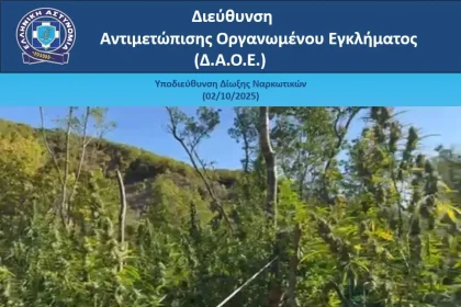 Εντοπίσθηκαν 1.650 δενδρύλλια κάνναβης σε δασώδη περιοχή των Ιωαννίνων