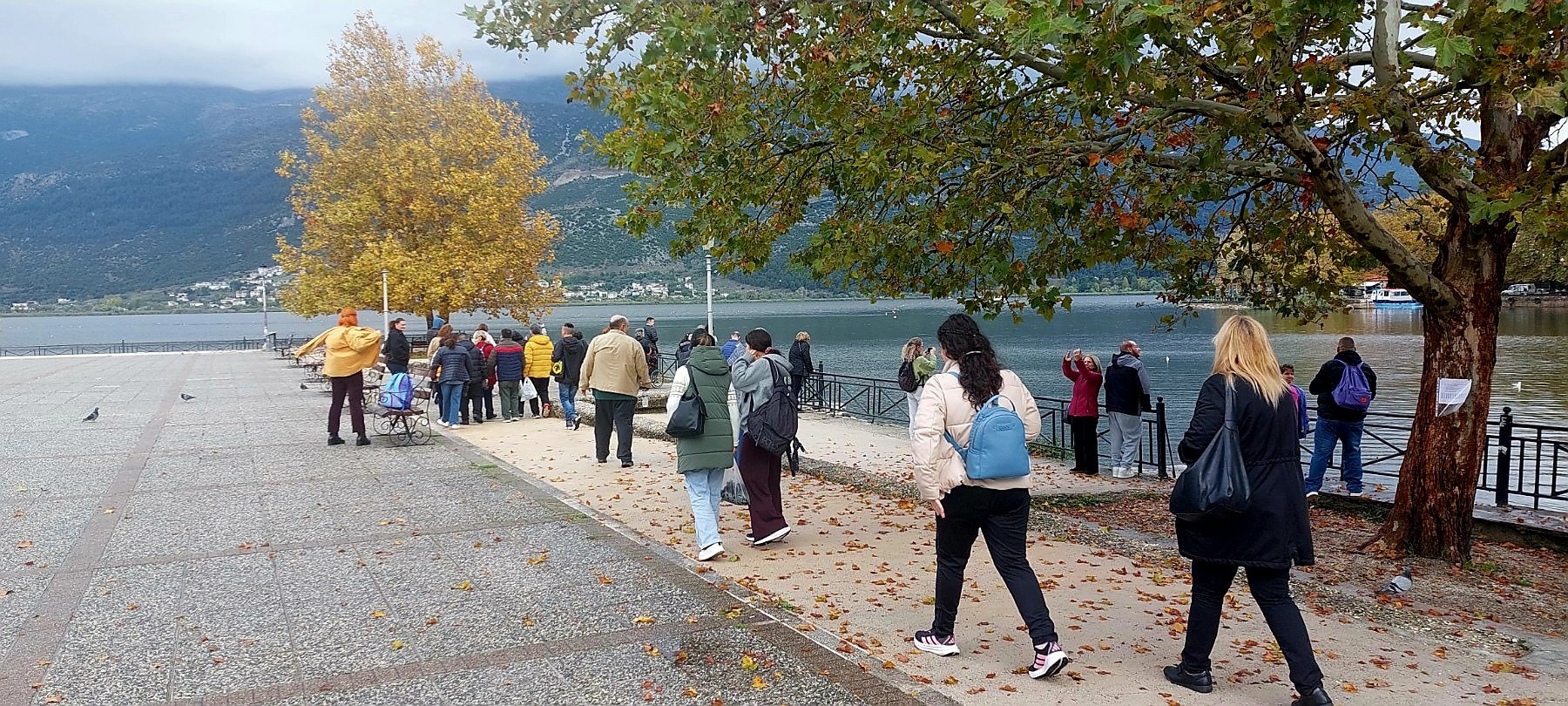 Οι ωφελούμενοι των ΚΔΑΠΑμεΑ «ΑΜΠΕΤ ΧΑΣΜΑΝ» και «ΚΟΜΑΙΘΩ» του Κοινωνικού Οργανισμού του Δήμου Πατρέων στα Ιωάννινα