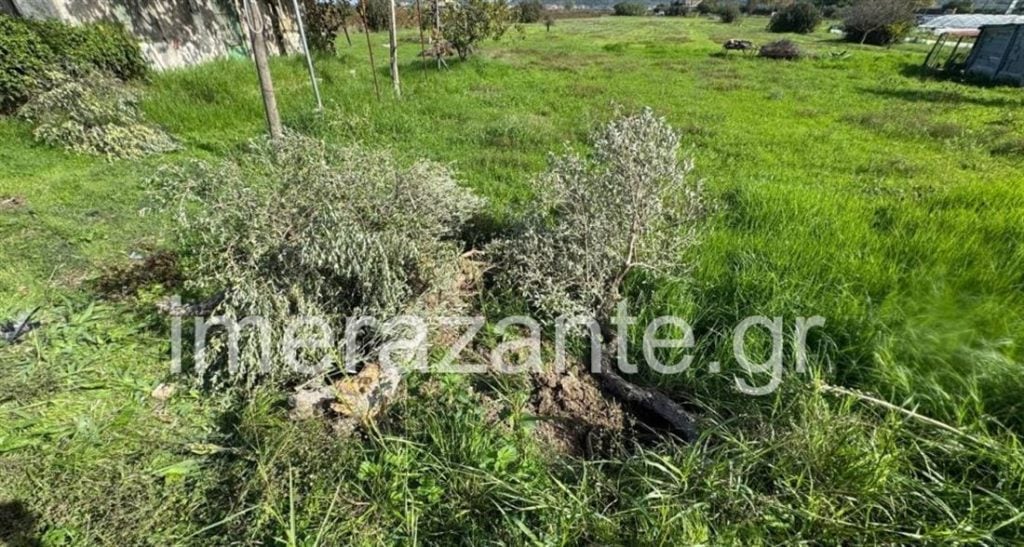 Δυτ. Ελλάδα: Νέα τραγωδία σε τροχαίο - ΙΧ καρφώθηκε σε δέντρο, νεκρός 48χρονος (ΦΩΤΟ)