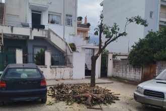 Δήμος Πατρέων: Μήνυση για τον βανδαλισμό δέντρων στην πλατεία Ελευθερίας