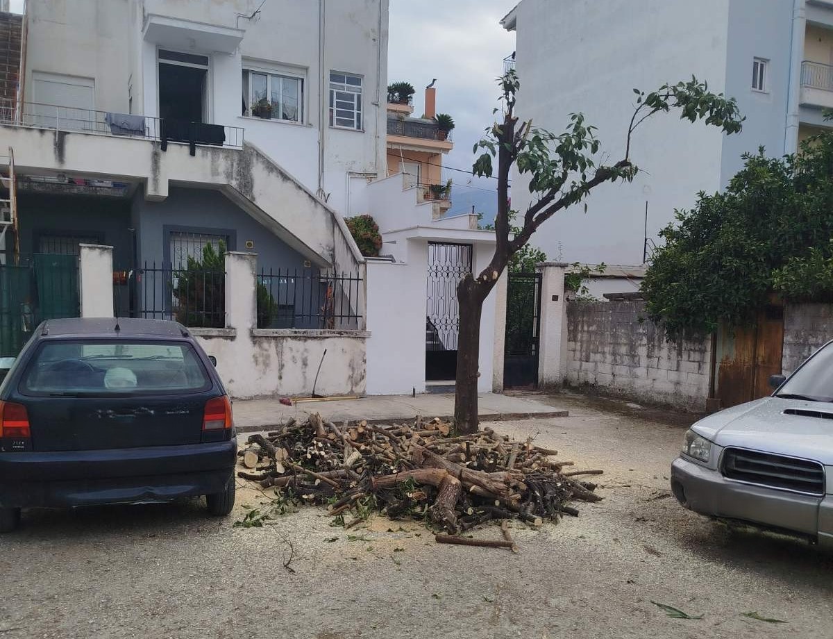 Δήμος Πατρέων: Μήνυση για τον βανδαλισμό δέντρων στην πλατεία Ελευθερίας