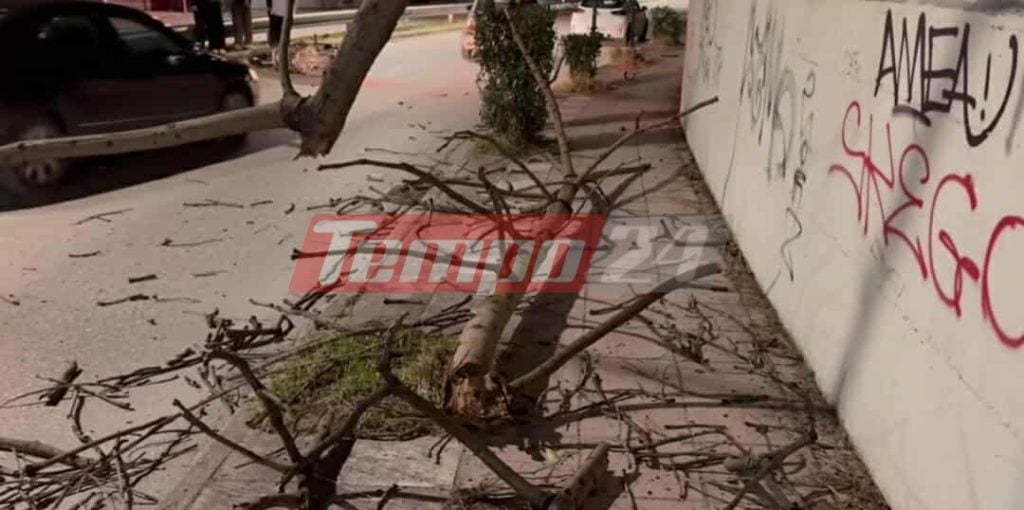 Πάτρα: Έπεσε δέντρο και τραυμάτισε δικυκλιστή ΦΩΤΟ
