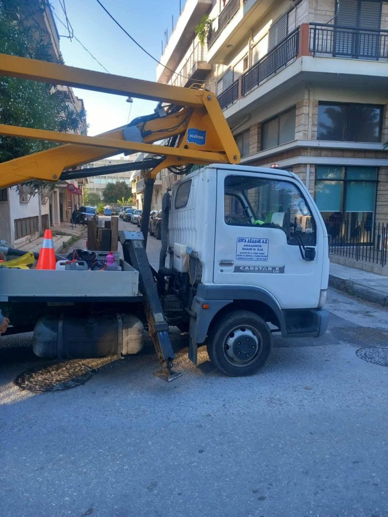 ΑΠΙΣΤΕΥΤΟ - Πάτρα: Συνεργείο του ΔΕΔΔΗΕ μπήκε σε αυλή σπιτιού και έκοψε φοίνικα γιατί εμπόδιζε καλώδια! ΦΩΤΟ