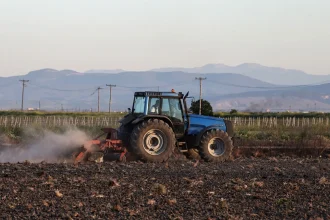 Σπείρα απατεώνων έπαιρνε παράνομες επιδοτήσεις από τον ΟΠΕΚΕΠΕ - 37 συλλήψεις από την ΕΛΑΣ, τουλάχιστον €5 εκατ. τα παράνομα κέρδη τους