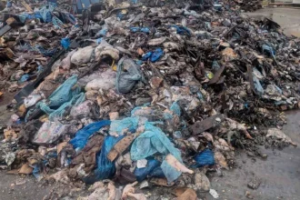 Μεγάλη περιβαλλοντική ρύπανση στην Πρέβεζα: Έθαψαν τόνους από ζωικά απόβλητα σε αυλή εταιρείας - 3 συλλήψεις