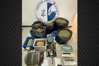 Σύλληψη στη Μεσσηνία για παραβίαση της άδειας για βιομηχανική κάνναβη - Θα έβγαζε 75.000 ευρώ