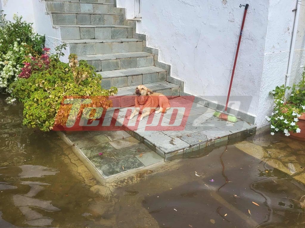 Πλημμύρες σε Αιτωλικό και Κατοχή: Ακαθάριστα φρεάτια καταγγέλλουν οι κάτοικοι - Συνεχίζεται η επιχείρηση Πυροσβεστικής & Δήμου (ΦΩΤΟ)