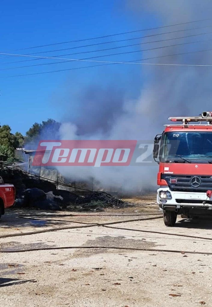 Μεγάλη φωτιά στο Λάππα Δυτικής Αχαΐας (ΦΩΤΟ & ΒΙΝΤΕΟ)