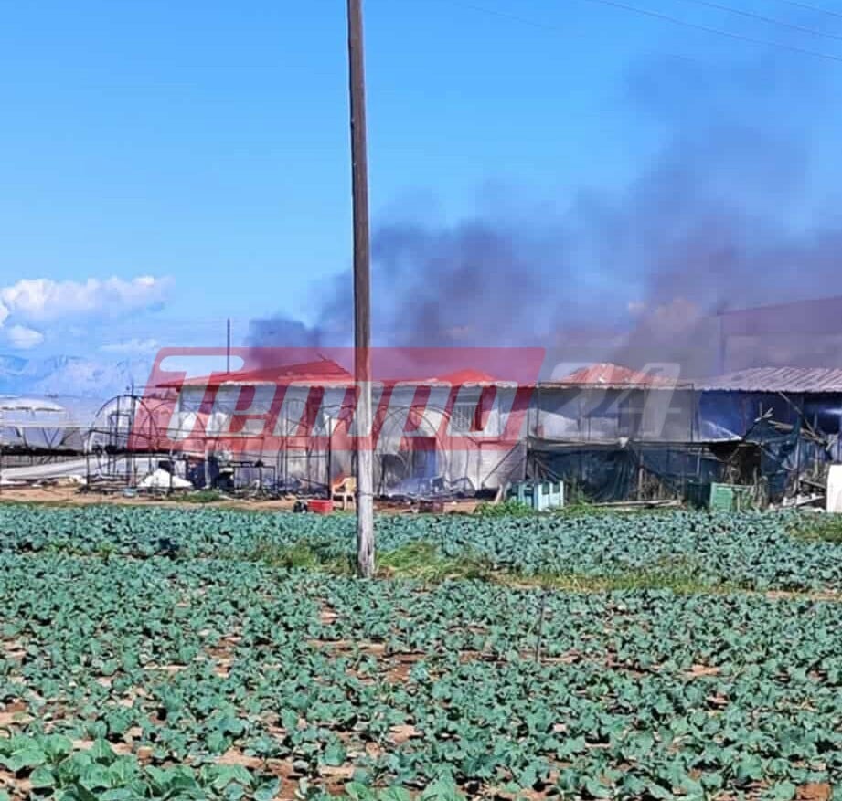 Μεγάλη φωτιά στο Λάππα Δυτικής Αχαΐας (ΦΩΤΟ & ΒΙΝΤΕΟ)
