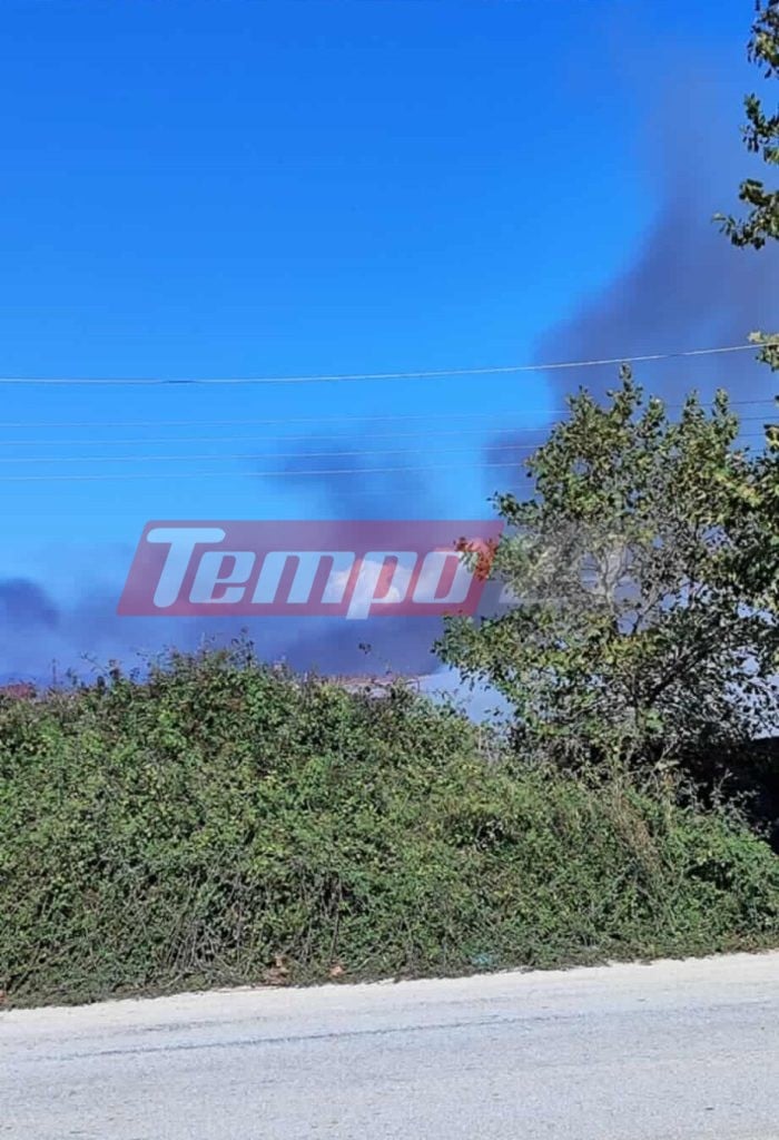 Μεγάλη φωτιά στο Λάππα Δυτικής Αχαΐας (ΦΩΤΟ & ΒΙΝΤΕΟ)