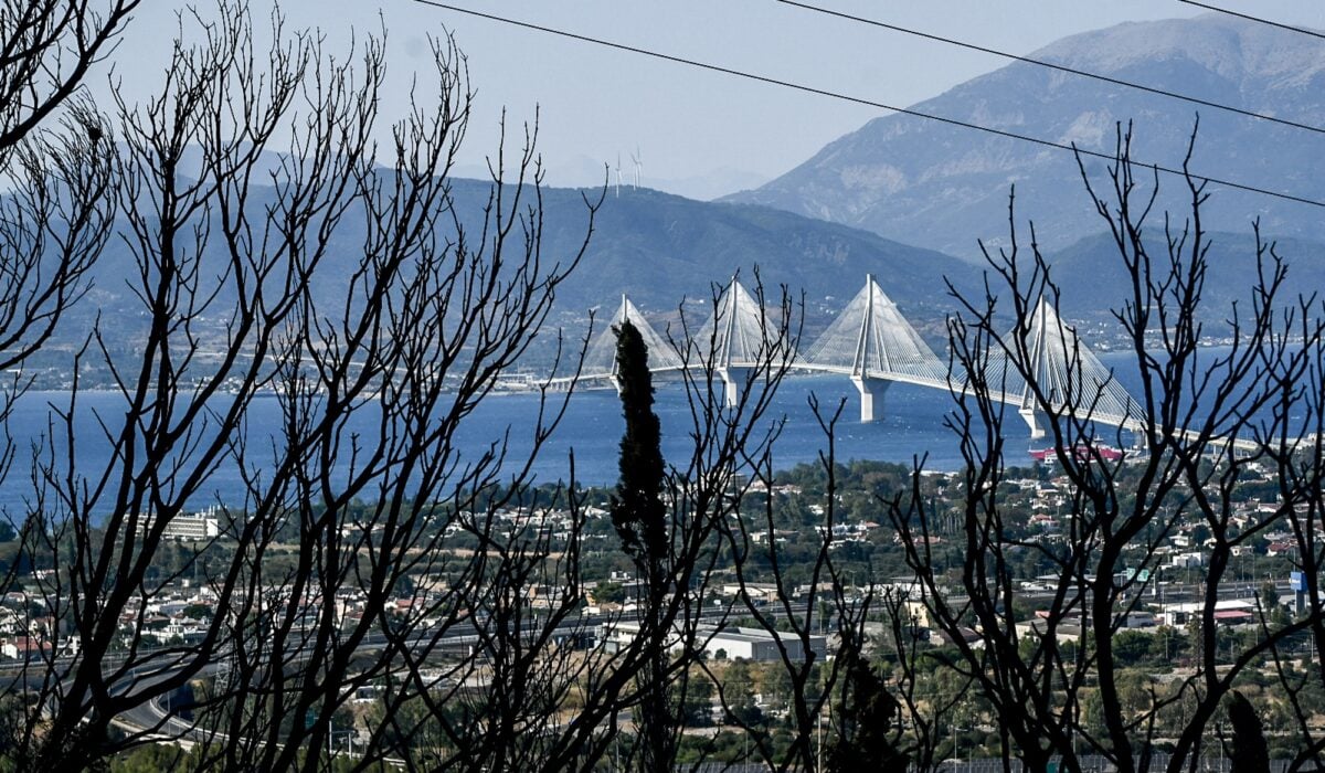 ΕΝΦΙΑ: Μέσω myAADE οι δηλώσεις απαλλαγής για τους πυρόπληκτους -  Ποιες περιοχές αφορά σε Αχαΐα και Δυτική Ελλάδα