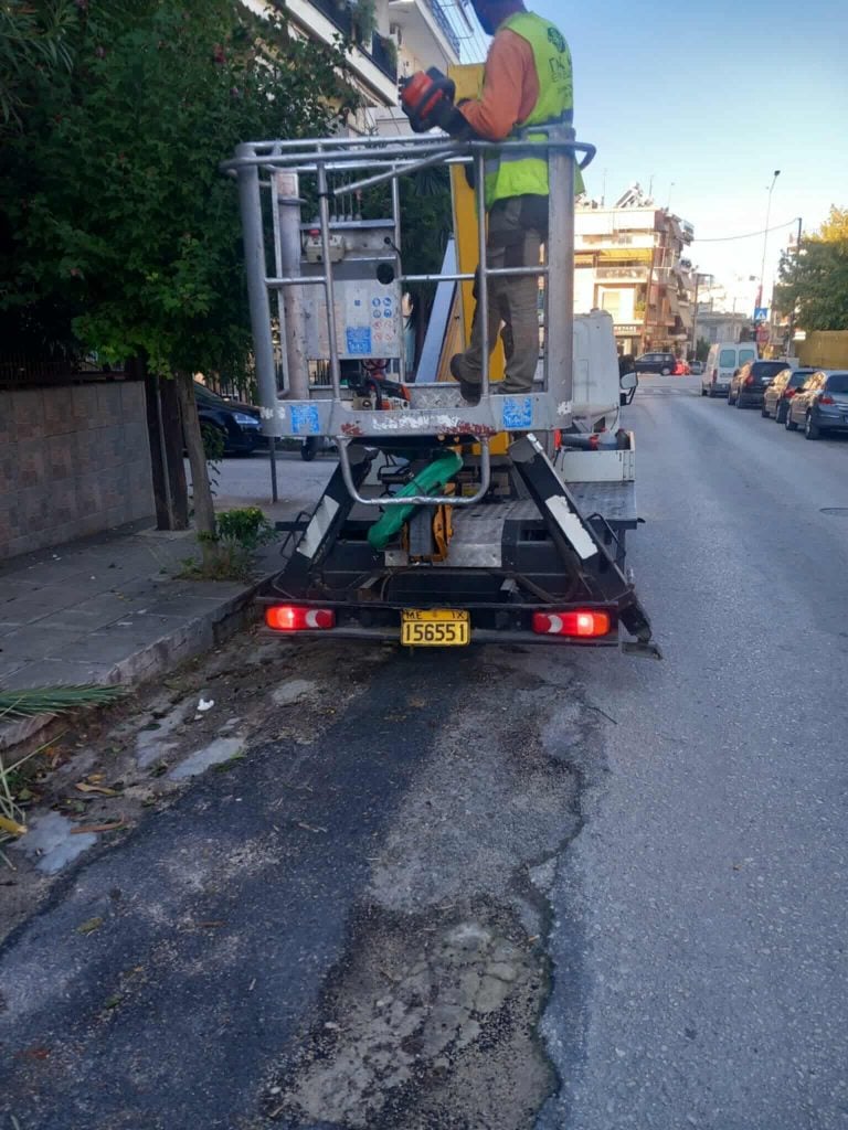 ΑΠΙΣΤΕΥΤΟ - Πάτρα: Συνεργείο του ΔΕΔΔΗΕ μπήκε σε αυλή σπιτιού και έκοψε φοίνικα γιατί εμπόδιζε καλώδια! ΦΩΤΟ