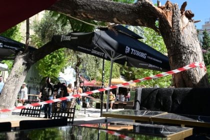 Τεράστιο δέντρο έπεσε στο Μοναστηράκι, τρομοκρατώντας τους περαστικούς