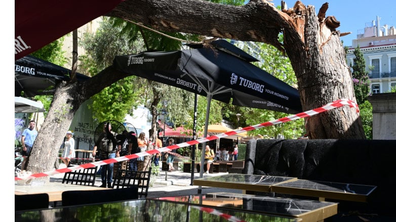 Τεράστιο δέντρο έπεσε στο Μοναστηράκι, τρομοκρατώντας τους περαστικούς
