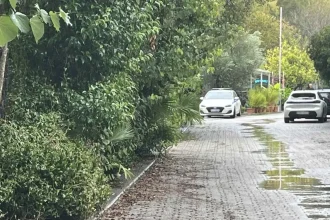 «Θα αποκαλύψω τι κάνεις με τα παιδιά», εκβίαζε ο 22χρονος τον ιδιοκτήτη κάμπινγκ στη Φοινικούντα