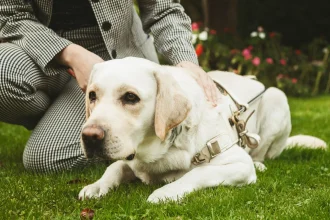 Η Gas, η σκυλίτσα-οδηγός, ξεκίνησε το νέο της ταξίδι