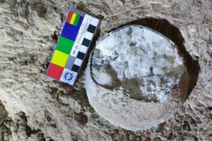 Πρωτοποριακή μέθοδος επιτρέπει για πρώτη φορά την άμεση χρονολόγηση αυγών δεινοσαύρων