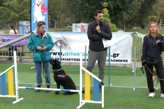 Φεστιβάλ κατοικίδιων «Oh My Dog Thessaloniki»