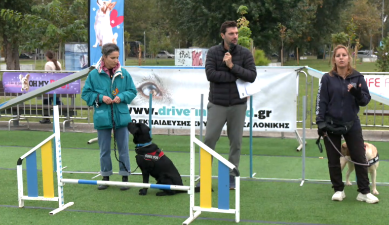 Φεστιβάλ κατοικίδιων «Oh My Dog Thessaloniki»