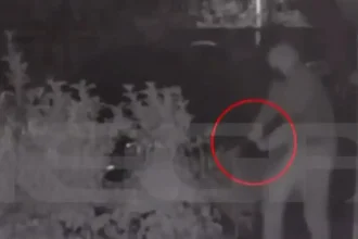 Συνελήφθη ο βασικός ύποπτος της απόπειρας δολοφονίας του 38χρονου στη Δροσιά - Τον έπιασαν στη Ζάκυνθο