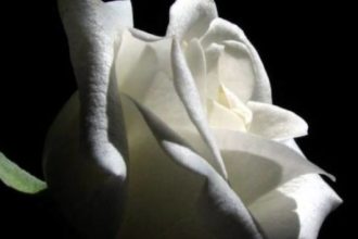 Πάτρα: Έφυγε από τη ζωή ο Αλκιβιάδης Μποδιώτης