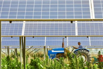 Ξεπαγώνουν πληρωμές 155 εκατ. ευρώ μέσω ΟΠΕΚΕΠΕ από Δευτέρα