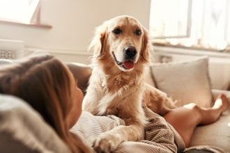 Ζώα και άνθρωπος: Μια σχέση ζωής