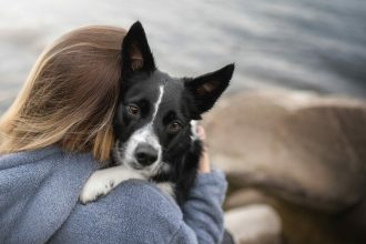 Ποιες είναι οι συμπεριφορές που μοιάζουν με αυτισμό στα ζώα: Επιστήμη ή μύθος;