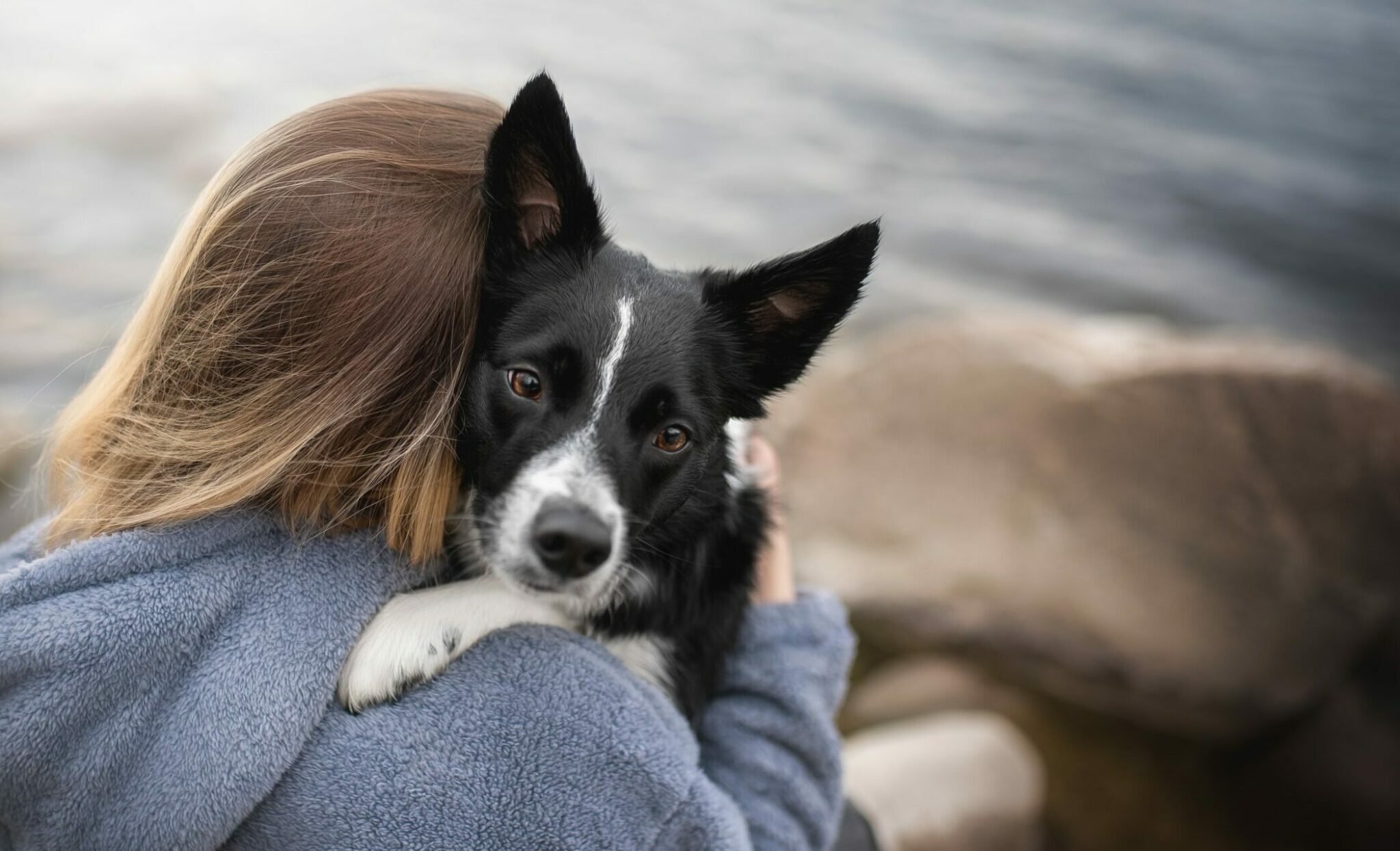 Ποιες είναι οι συμπεριφορές που μοιάζουν με αυτισμό στα ζώα: Επιστήμη ή μύθος;