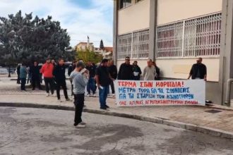 Ευλογιά των προβάτων: Συγκέντρωση διαμαρτυρίας από κτηνοτρόφους στο Μεσολόγγι - BINTEO