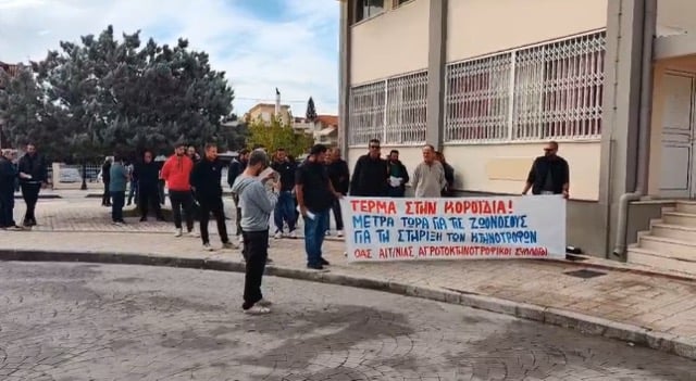 Ευλογιά των προβάτων: Συγκέντρωση διαμαρτυρίας από κτηνοτρόφους στο Μεσολόγγι - BINTEO