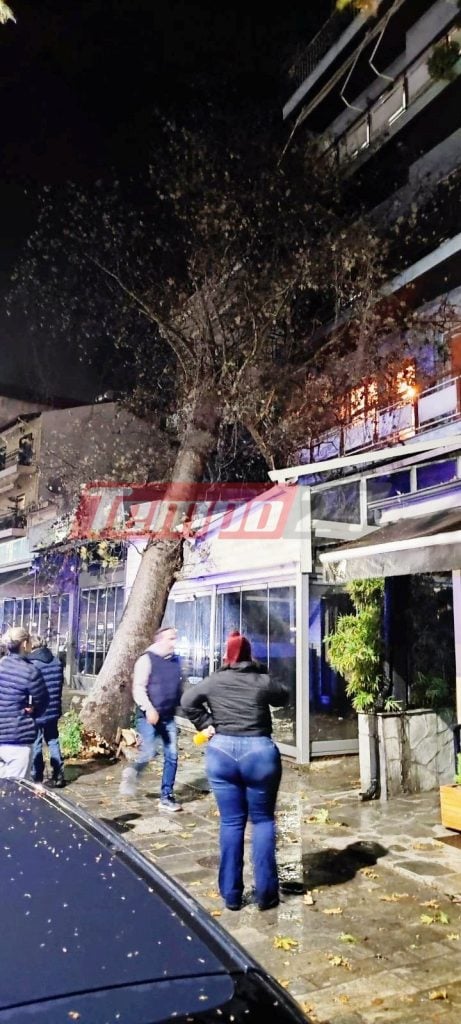 Κακοκαιρία: Τεράστιος πλάτανος έπεσε σε επιχείρηση εξαιτίας των σφοδρών ανέμων - Ευτυχώς ήταν κλειστή! (ΦΩΤΟ - ΒΙΝΤΕΟ)