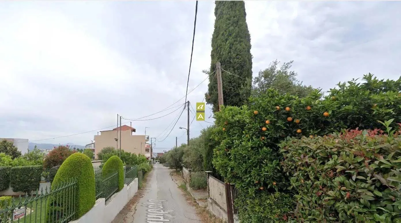 Πάτρα: Τέσσερα χρόνια αποκλεισμένοι από το ίδιο τους το σπίτι – Οικογένεια, που έχει και μέλος ΑμεΑ, ζητά τη διάνοιξη δρόμου