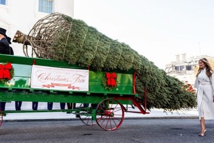 Μελάνια Τραμπ: Παρέλαβε το χριστουγεννιάτικο δέντρο του Λευκού Οίκου