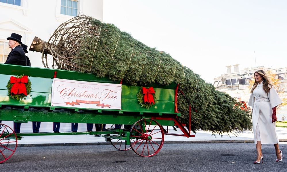Μελάνια Τραμπ: Παρέλαβε το χριστουγεννιάτικο δέντρο του Λευκού Οίκου