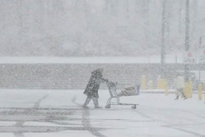 «Χιονοθύελλα λίμνης» στο Μίσιγκαν – Πάγωσαν τα ιγκουάνα στη Φλόριντα