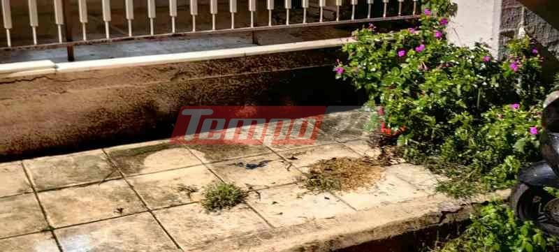 Πάτρα: Αδιανόητο περιστατικό - Έβαλαν εμπρηστικό μηχανισμό στο σπίτι του επειδή κατέθεσε ως μάρτυρας σε περιστατικό που εμπλέκονται (ΦΩΤΟ)
