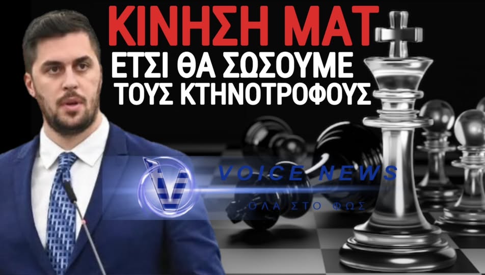 Δημήτρης Παλούμπης: Οι ερωτήσεις μας πιάνουν τόπο