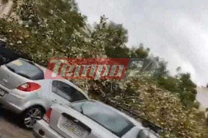 Κακοκαιρία-Πάτρα: Δέντρο έπεσε πάνω σε σταθμευμένα οχήματα (ΒΙΝΤΕΟ)