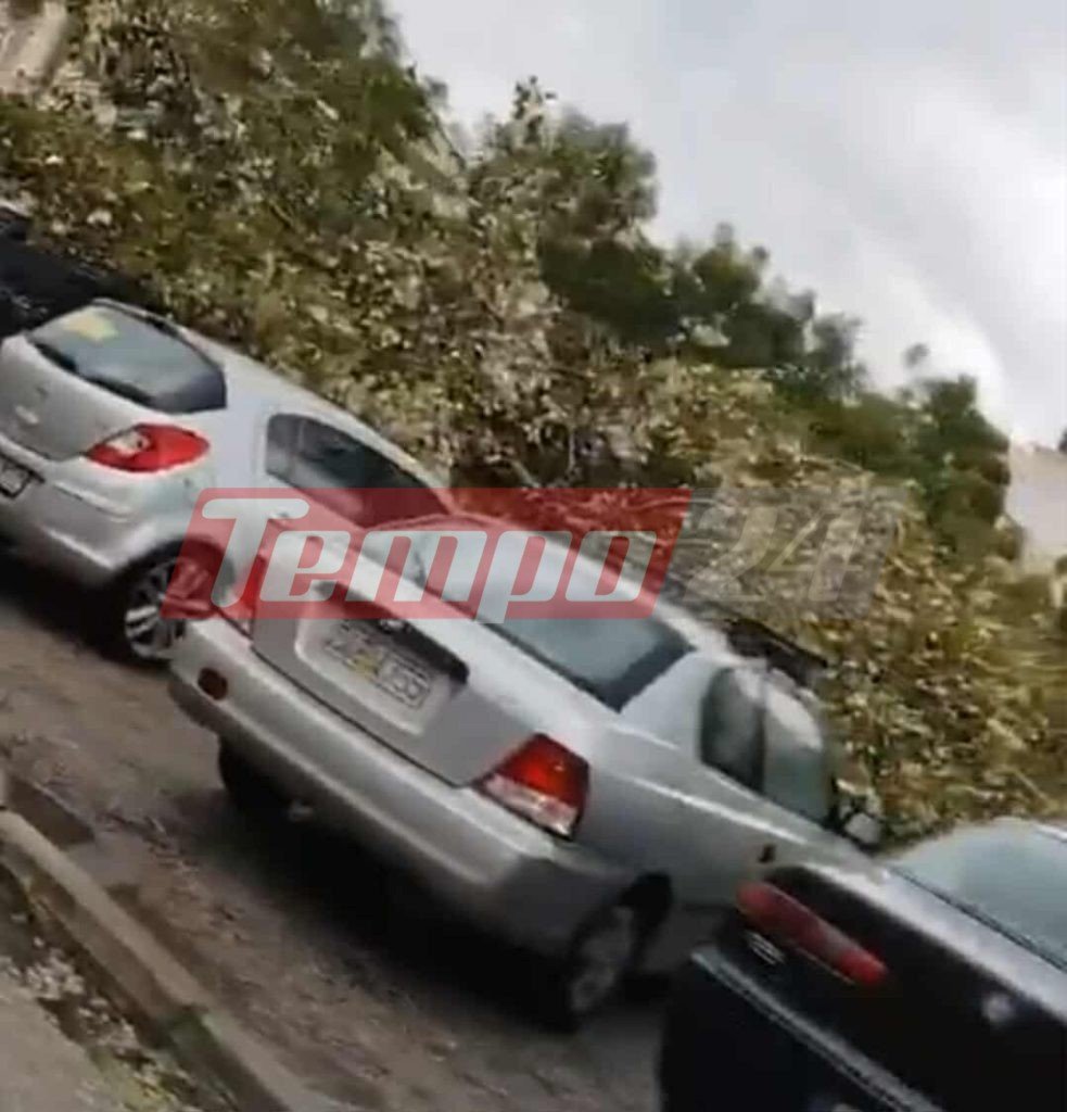 Ανεμοστρόβιλος "χτύπησε" την Πάτρα – Έπεσαν δένδρα, έσπασαν τζαμαρίες (ΦΩΤΟ)