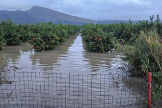 Κακοκαιρία: Απροσπέλαστοι οι δρόμοι στους Φιλιάτες Θεσπρωτίας- Τόνοι από λάσπη κάλυψαν τις καλλιέργειες