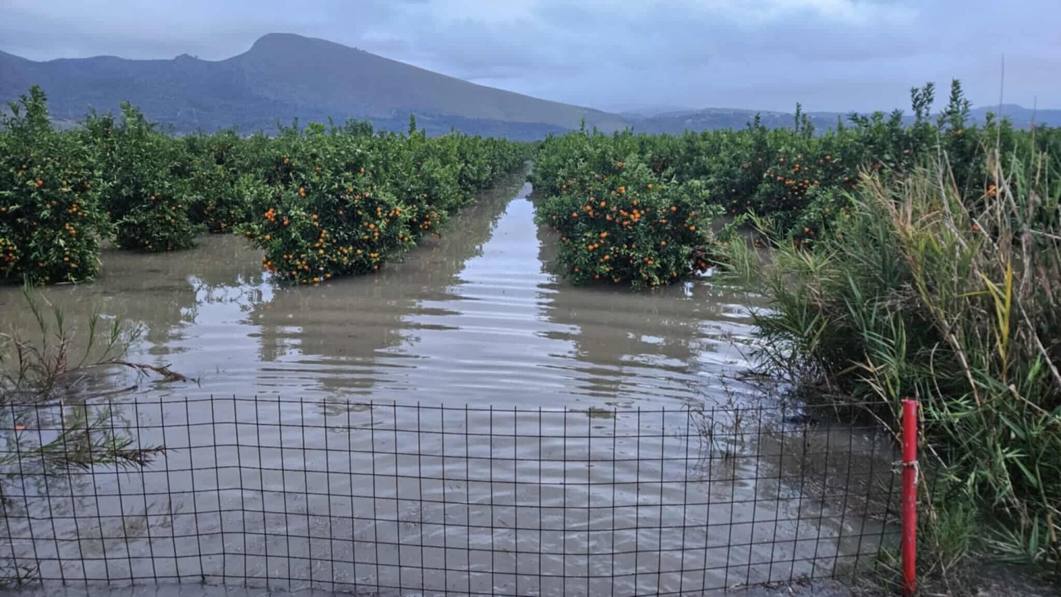 Κακοκαιρία: Απροσπέλαστοι οι δρόμοι στους Φιλιάτες Θεσπρωτίας- Τόνοι από λάσπη κάλυψαν τις καλλιέργειες