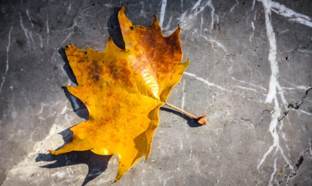 Καιρός: Φθινοπωρινό σκηνικό με τοπικές και σποραδικές καταιγίδες