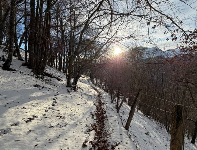 Ευρώπη: Κύμα κακοκαιρίας με χιονοπτώσεις και χαμηλές θερμοκρασίες – Πλημμύρες στην Αλβανία