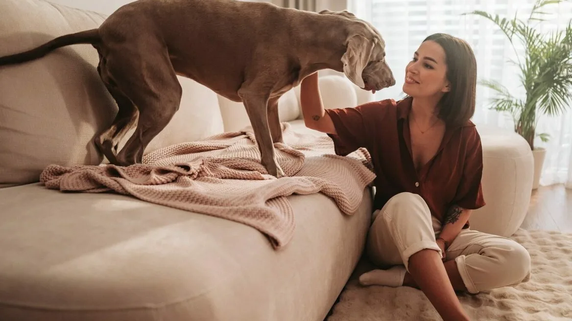 Τι μπορεί να αισθάνεται ο σκύλος μας όταν μας ακολουθεί παντού στο σπίτι