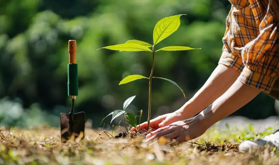 Δενδροφύτευση στο ιστορικό κοιμητήριο Καλαβρύτων  